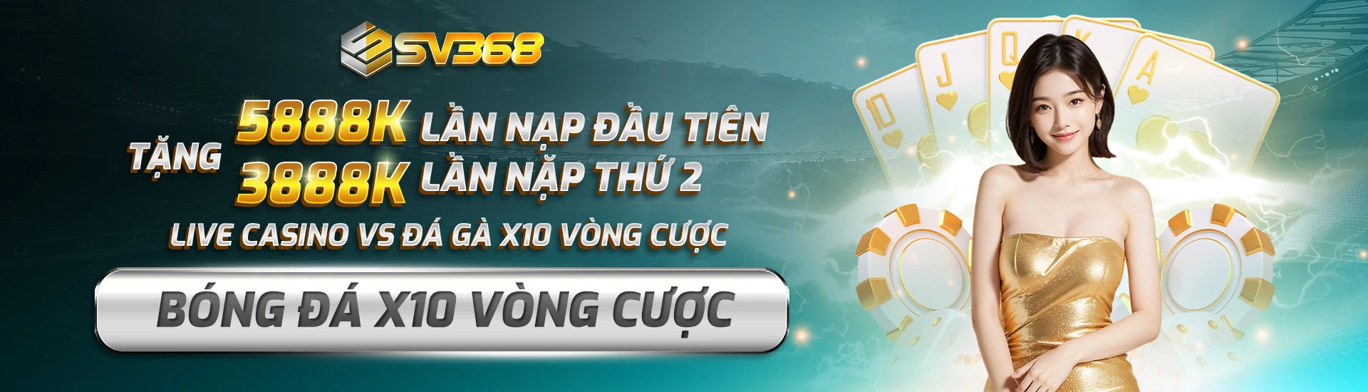 sv368 banner 2